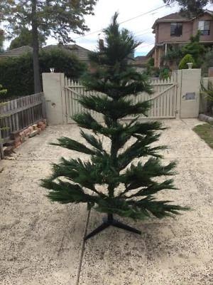 Canterbury Pine Tree Ec 6 Ft Tall Purchased Myer Nic S Xmas
