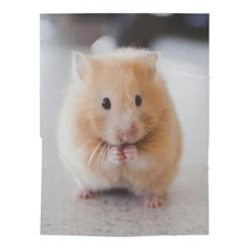 Baby Swaddle Blanket