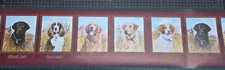Hunting Dog Wallpaper Border PG2263B Black Lab Springer Golden Cabin Lodge Decor