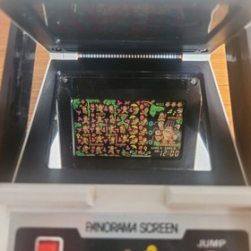 Nintendo Donkey Kong Jr. Futuretronics Panorama Game & Watch CJ-93 G&W