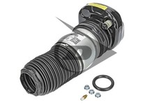 LUFTFEDER FEDERBEIN STOSSDÄMPFER HINTERACHSE LINKS ODER RECHTS - DUNLOP 71112