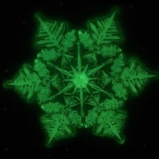 Snowboard Stomp Pad with Strong Adsorption for Enthusiast Winter Sports