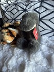Tiger and T-Rex Lot of 2  10” Plush — photo 2