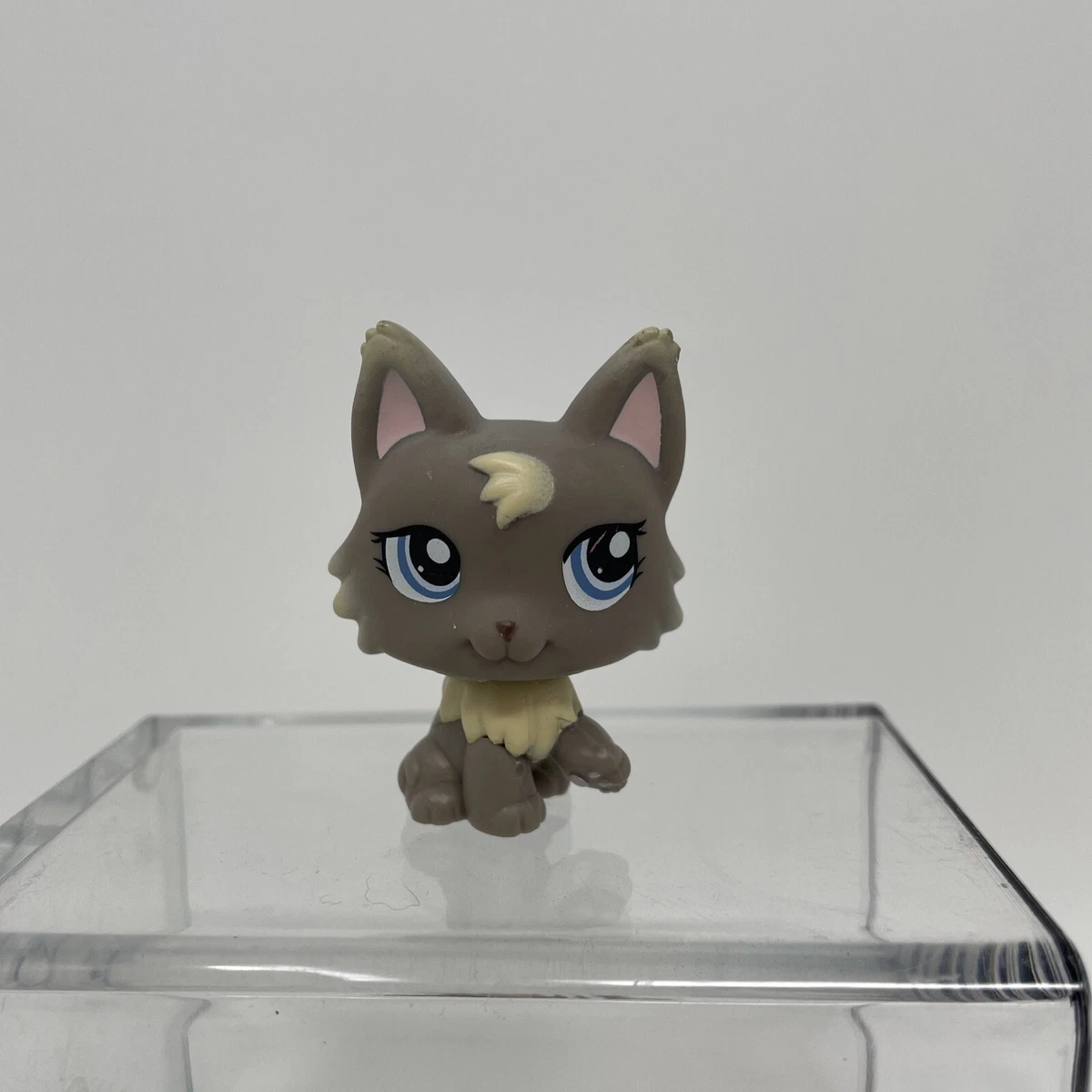 Super Kitties! LPS Toys