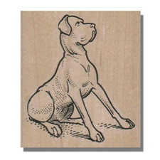 Mounted Rubber Stamp, Great Dane Looking, Animal,Dog Stamp,Sitting,Pet,Paw,Side
