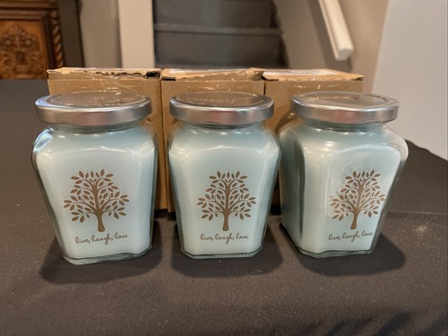 Celebrating Home Eucalyptus Mint Candles (Set of 3) - Picture 2 of 2