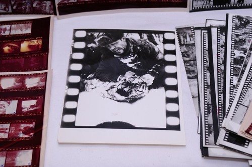 Siberian Tiger Hunt Photographer Vintage Contact Sheets, Estate Sale Find - Picture 2 of 9