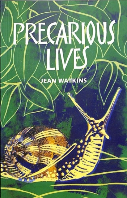 Precarious Lives by Jean Watkins PAPERBACK 9781909747418