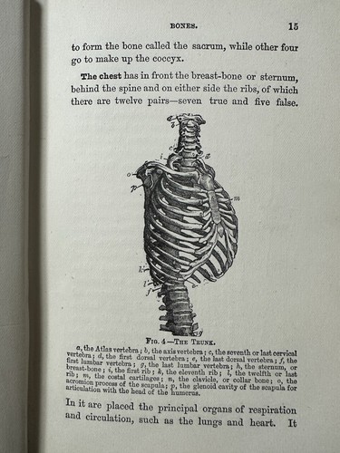 First Aid in Accident & Sudden Illness. George Black. c 1880 1st Edition - Picture 5 of 7