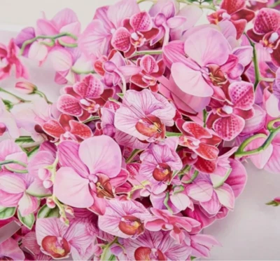 SECOND NATURE Birthday card 3D POP UP Card Flower Female mum daughter wife niece Birthday card