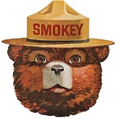Smokey The Bear Head -Sticker Decal- Prevent Wildfires Firefighter FREE SHIPPING