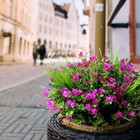 Bild 50 von 77