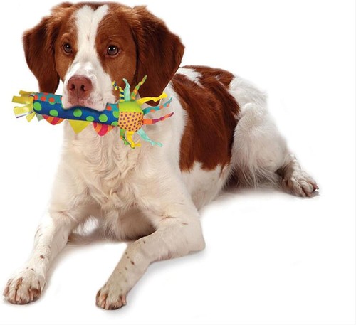 Petstages Cool Teething Stick - Freezable Chew Toy for Dogs - Dental Aid - Durab - Picture 6 of 8