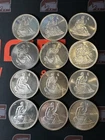 (12) Round Lot Vintage Seated Liberty 1 Troy oz .999 Fine Silver Round - 12 oz’s