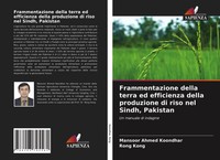 Mansoor Ahmed Koondhar (U. A.) | Frammentazione Della Terra Ed Efficienza...