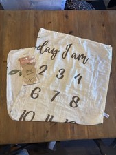 Baby Monthly Milestone Blanket Month With Accessory Tags/Milestone Labels
