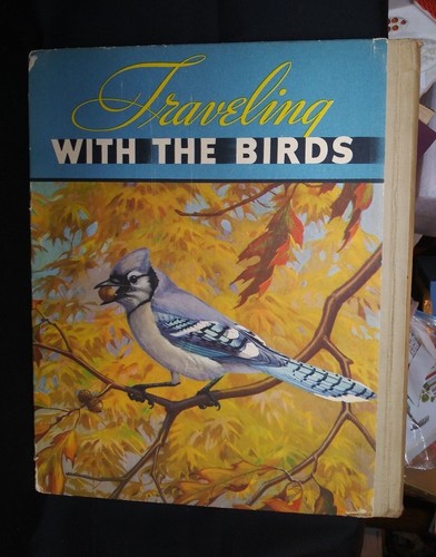Traveling with Birds, Rudyerd Boulton, 1st Ed, 1933 M.A. Donohue &Co. - HB, Used - Imagen 3 de 12