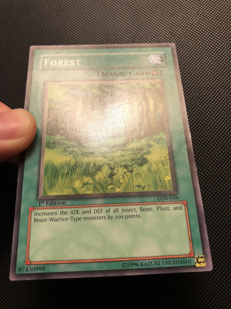 YuGiOh Forest 1st Edition Legend of Blue Eyes LOB-046 NA English