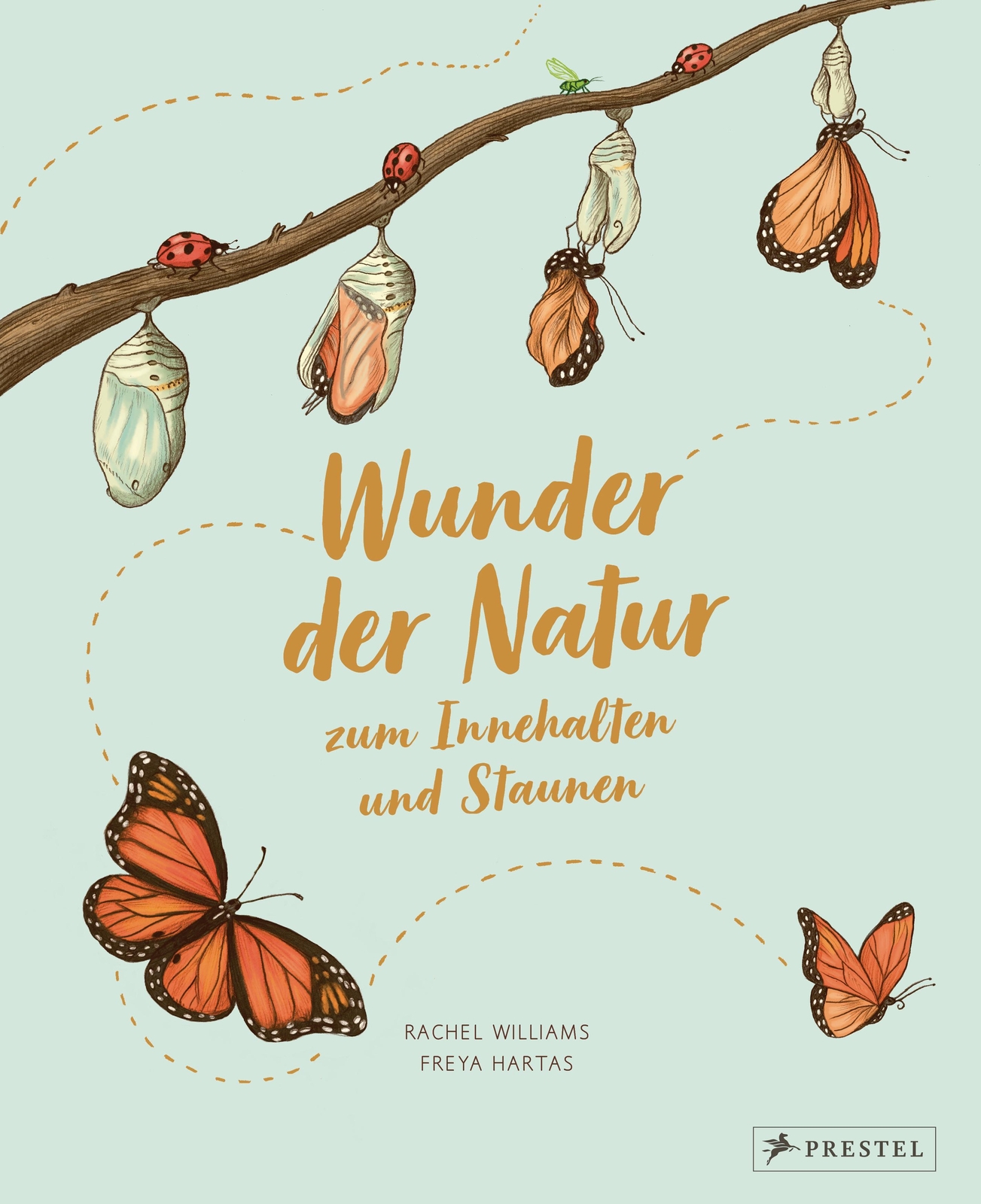Thumbnail - Rachel Williams Wunder Der Natur Zum Innehalten Und Staunen