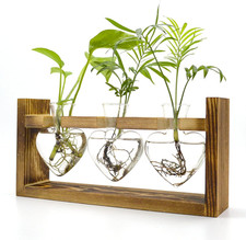 Air Plant Terrarium with Wooden Stand, Propagation Station with Heart Vase, Kawa