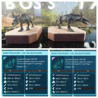 ARK ASCENDED PVE OFFICIAL PAIR BABY RAVAGER BLACK ID79 TOP STATUS PC/XBOX/PS5
