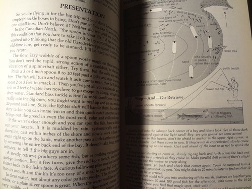 Northern Pike Secrets - In Fisherman Handbook of Strategies Book - Picture 6 of 9