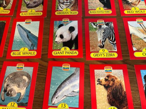 Burger King Kids Club Collectors Cards Set of 17 Animal Facts | eBay Burger King Kids Club Collectors Cards Set of 17 Animal Facts | eBay