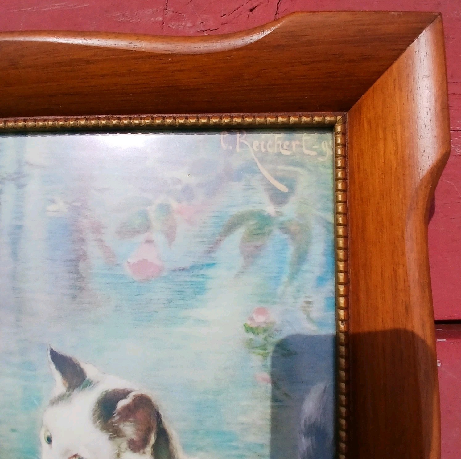 Picture 4 of 18