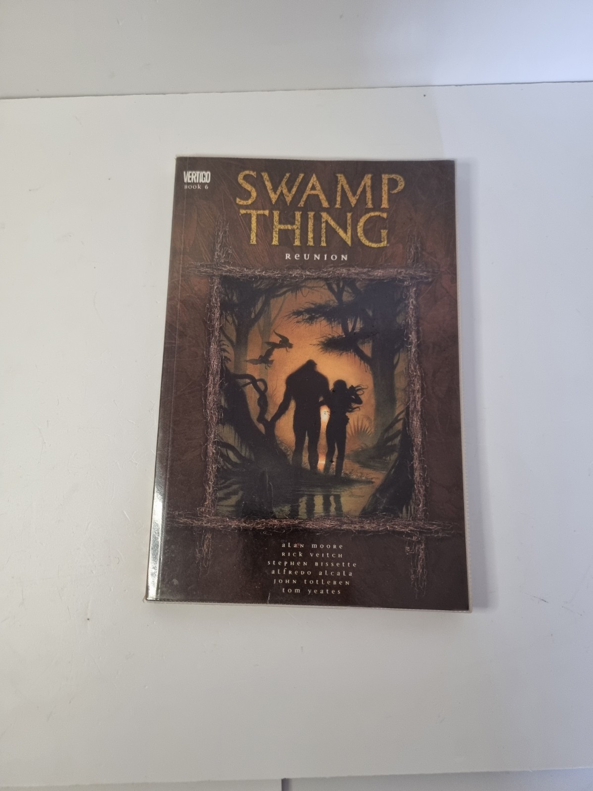 Swamp Thing: Reunion by Alan Moore DC Vertigo Comics Graphic Novel