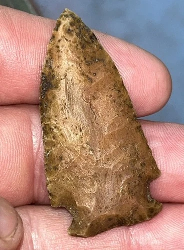 Arrowheads Authentic Excellent Stillwell Point