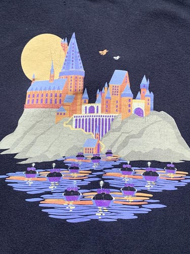 Felpa con cappuccio Harry Potter Hogwarts Wizard Graphic nera taglia media HTF - Foto 2 di 10