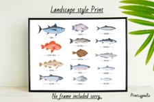 FISH SET FUN A4 PICTURE PRINT POSTER WALL ART HOME DECOR UNFRAMED GIFT NEW