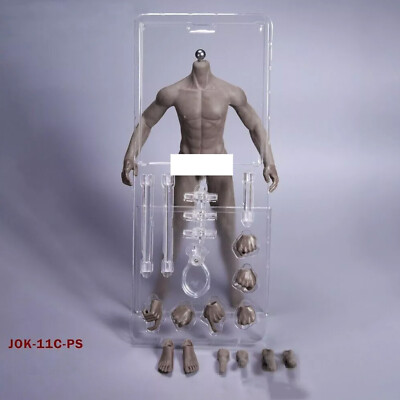 1/6 Seamless Male Body Doll Male Figure Fit For 12" Phicen Hot Toys | eBay