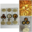 Antique Trio Of  Botanical Microscope Slides. Multi sections By Watson.