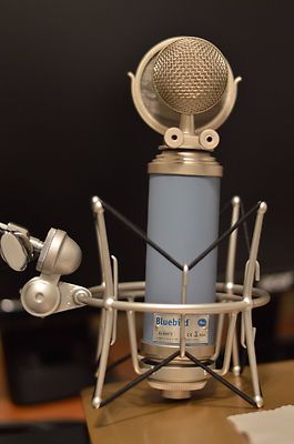 旧型 Bluebird blue microphone Used Blue Bluebird Condenser Microphone | Guitar Center