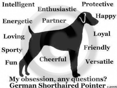 German Shorthaired Pointer Dog Obsession, Any Questions? T-shirt Choices