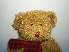 Bild 2 von 9