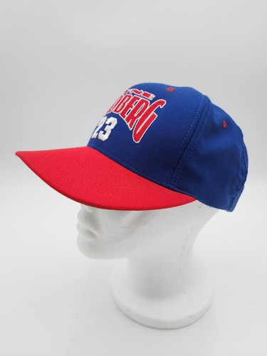 Vintage Nutmeg Mills 90s Chicago Cubs Ryne Sandberg #23 Snapback MLB Hat USA - Picture 3 of 10