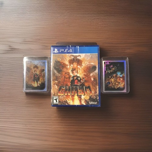 Chasm PS4 Limited Run #369 PlayStation 4 LRG w/ Cards #145 & #146 Bitkid