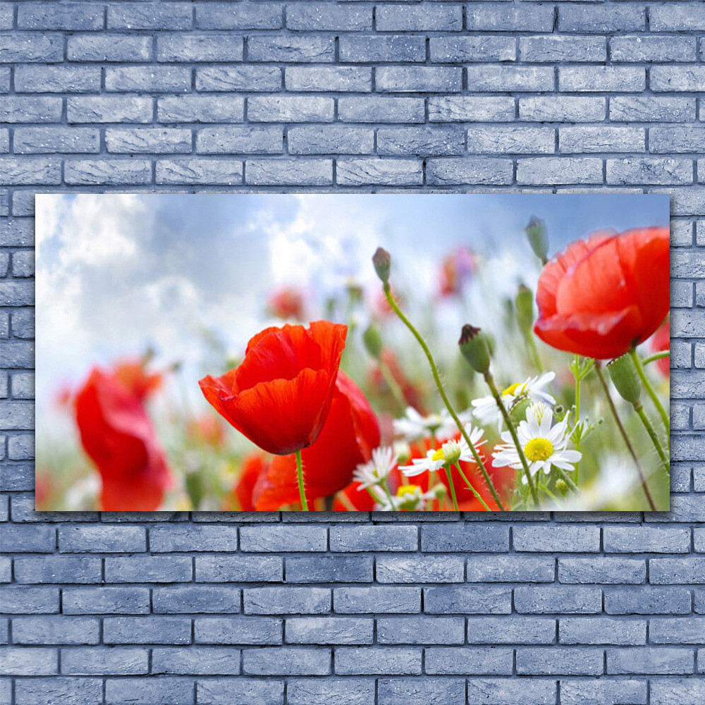 Tableau d'art sous verre 140x70 motif floral haut de gamme marguerites et pavot sauvage