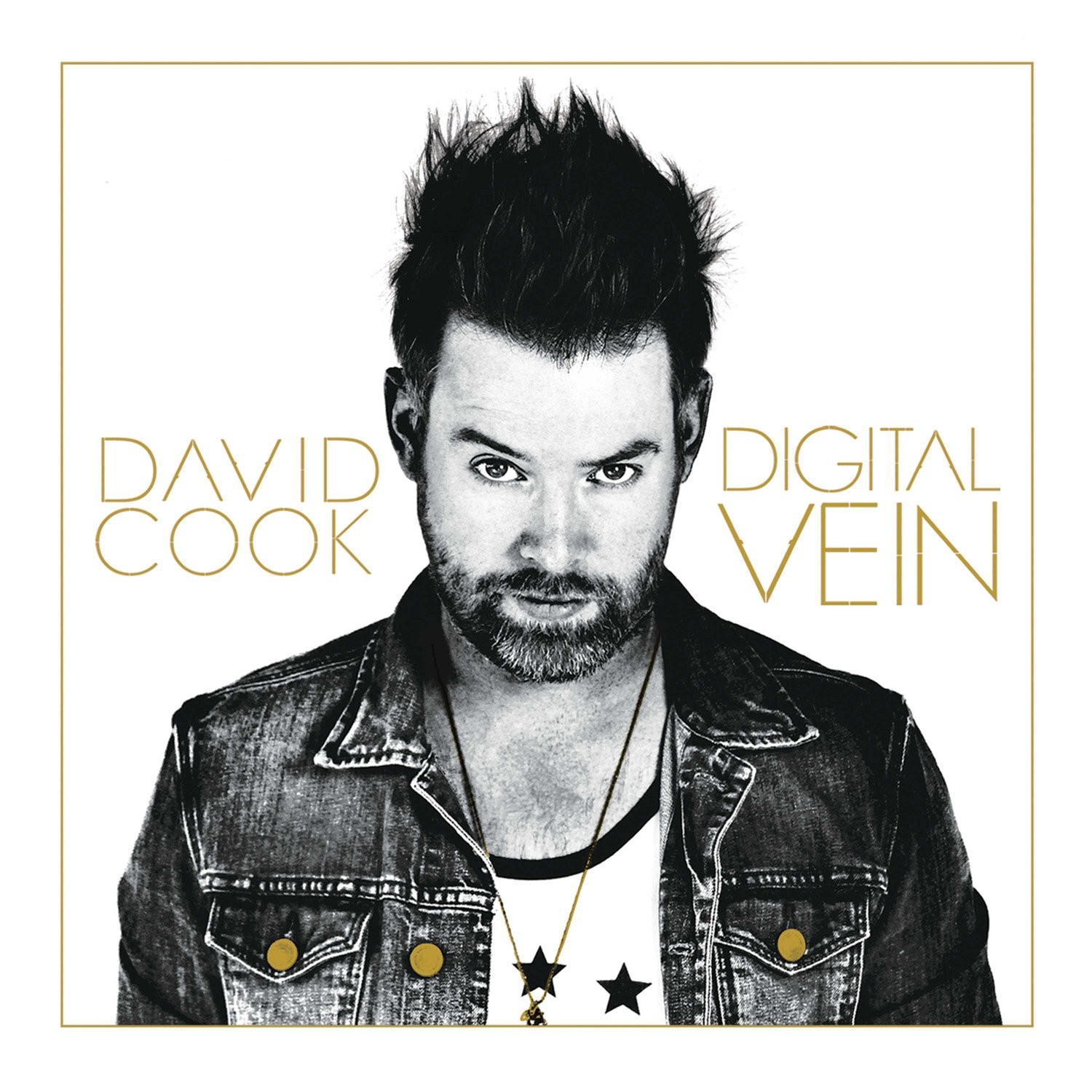 David Cook Digital Vein (CD) (ИМПОРТ ИЗ Великобритании)