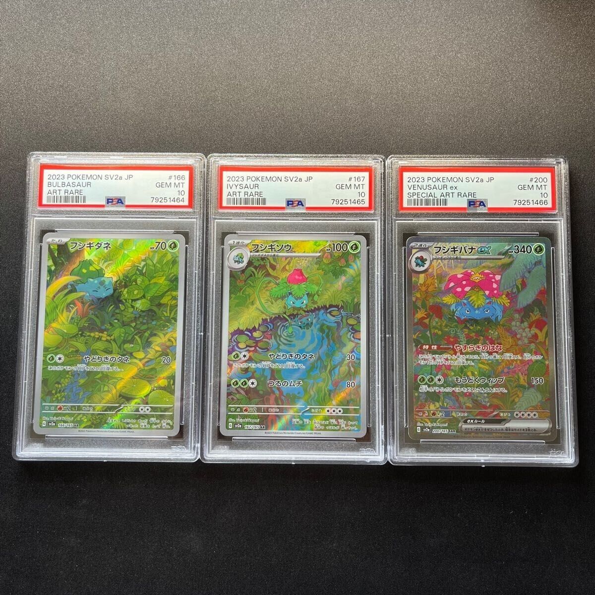 Pokemon Evolution - Bulbasaur (Basic), Ivysaur (Stage 1), Venusaur (St –  Hamdogg's Hobbies