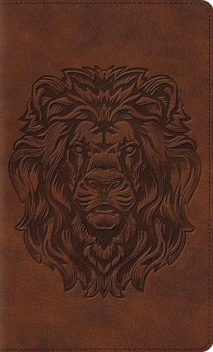 ESV Thinline Bible, Red Letter - 9798874903619