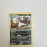 Pokémon TCG Mightyena 54/127 Platinum Uncommon Stage 1 Regular 90 HP Collude