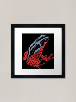 Artwork of a Poison Dart Frog XI Fr Framed Wall Art Poster Canvas Print Picture