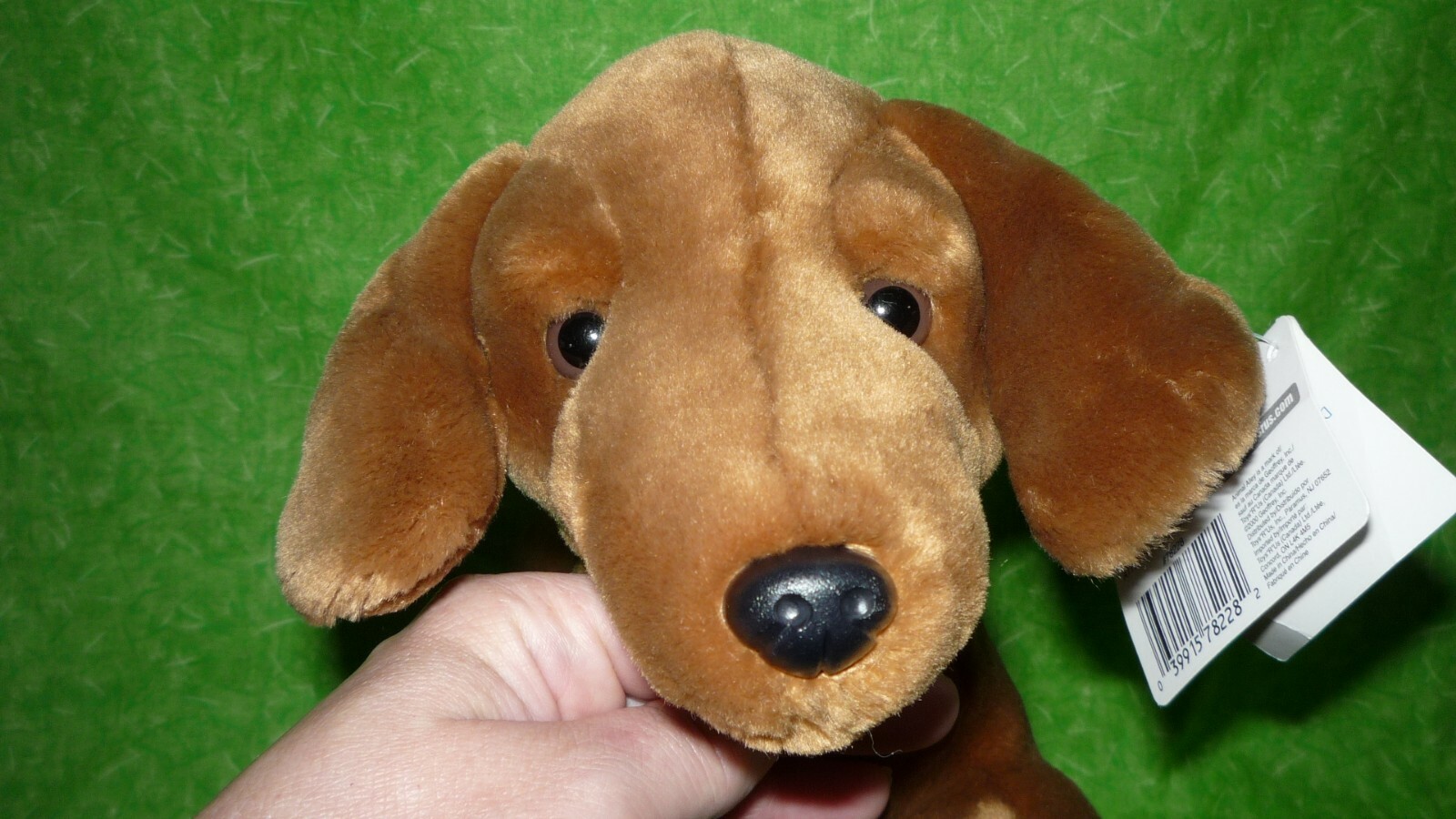 giant sausage dog toy
