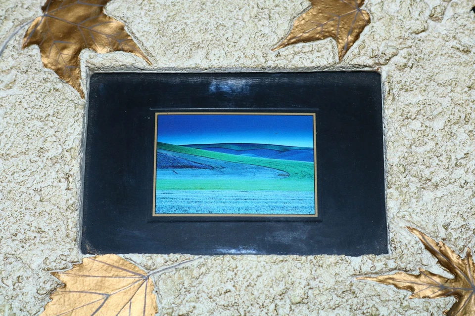 Print Fields Abstract Art beach dune Wall Frame Heavy Cast Maple Leaves WG - Image 2 of 4