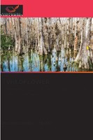 Abel Hernandez - MuñOz | Wildflower | Taschenbuch | Polnisch (2025)