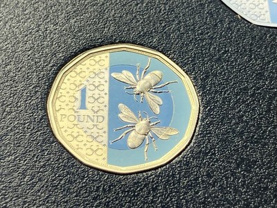 Simply Coins COIN 2025 PROOF LEFTY LEFTIE 1 POUND