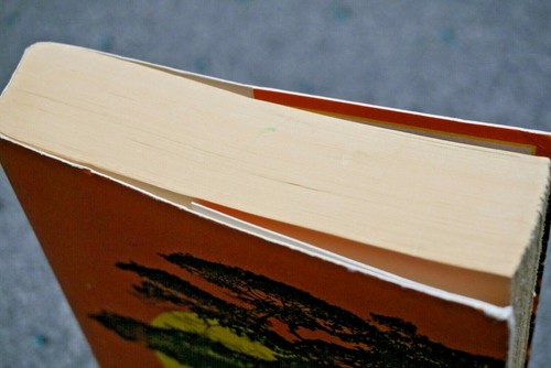 The Poisonwood Bible: A Novel by Barbara Kingsolver - Picture 5 of 9